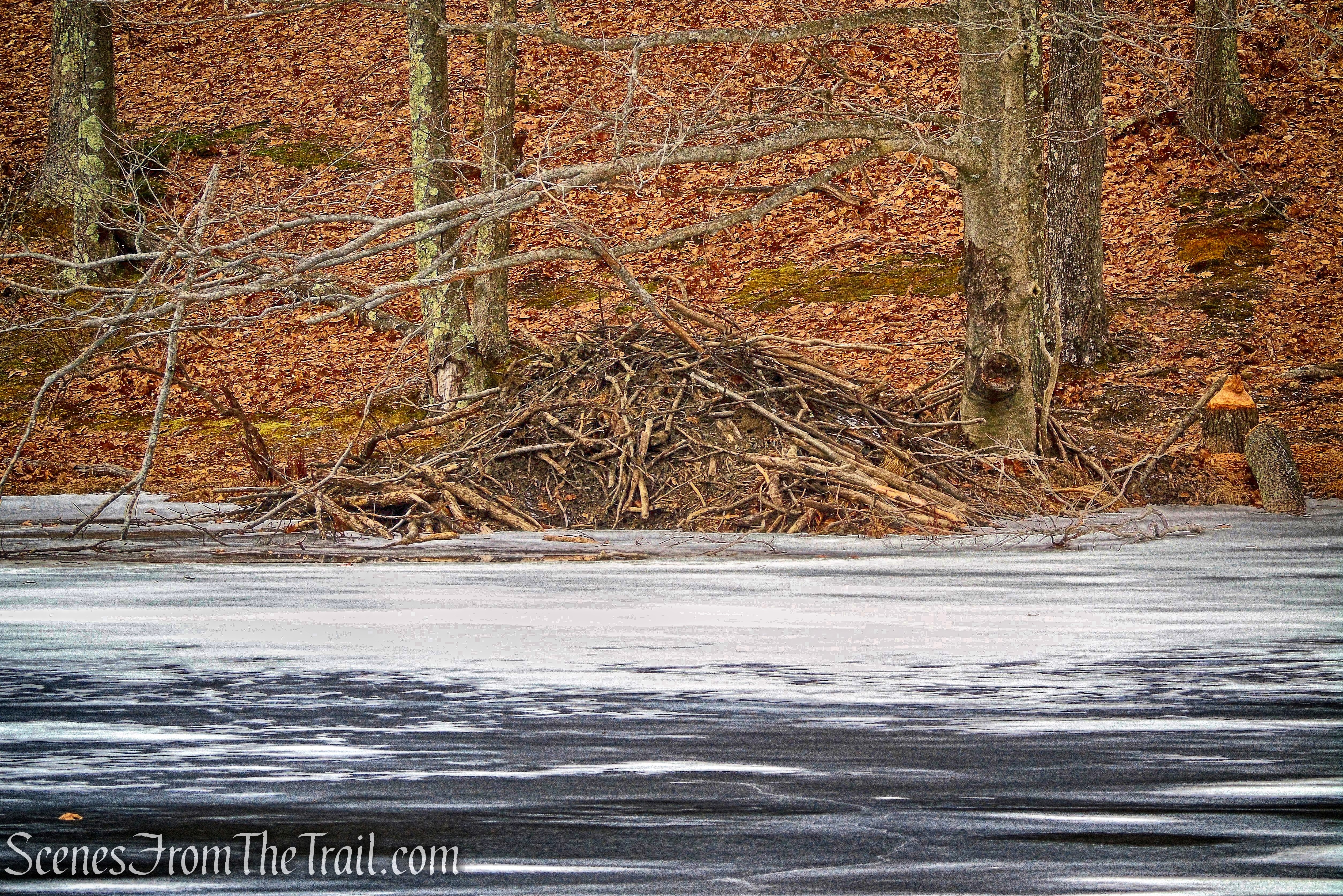 Pine Lake - Mountain Lakes Park
