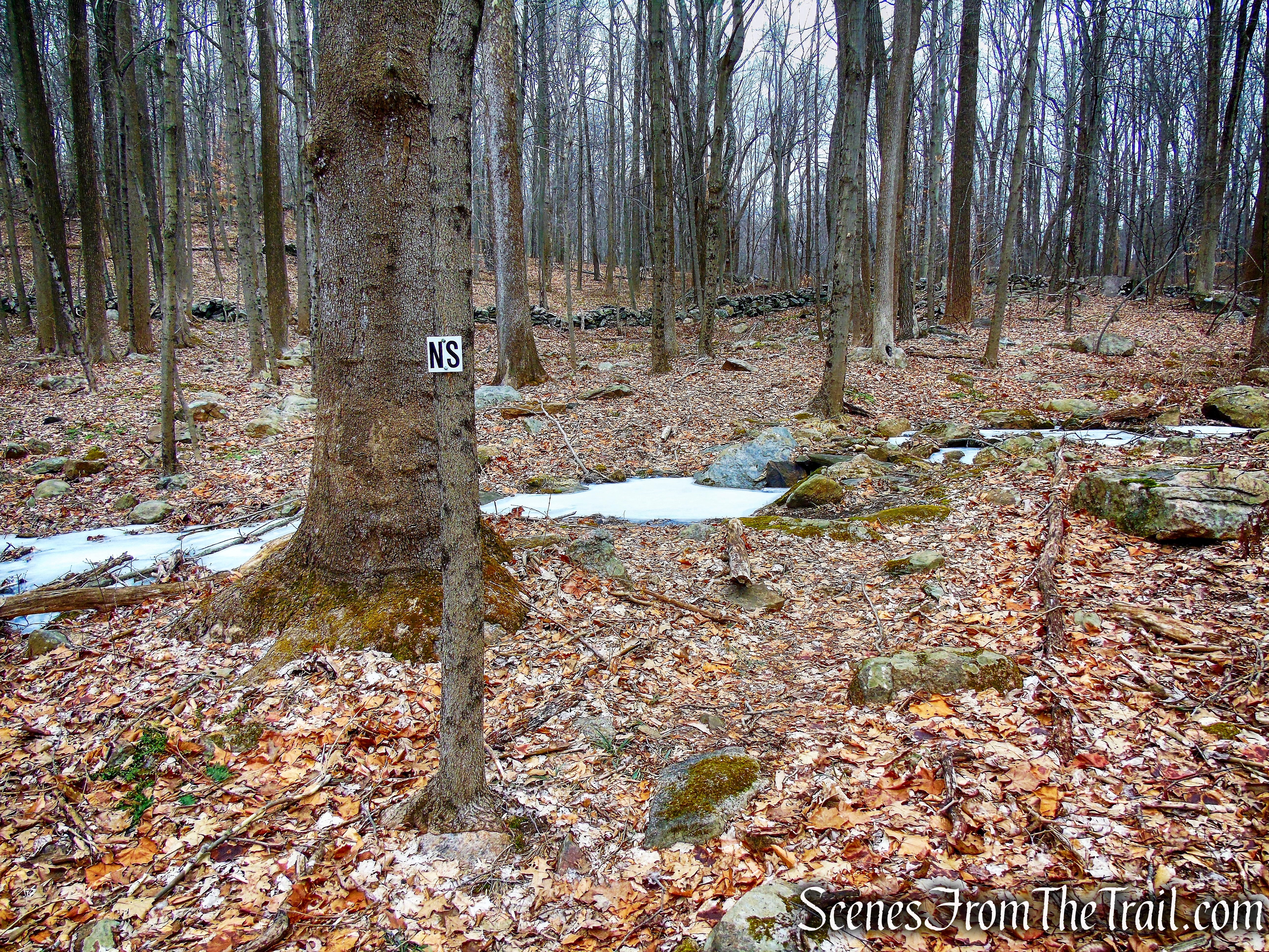 North Salem (NS) Trail - Mountain Lakes Park
