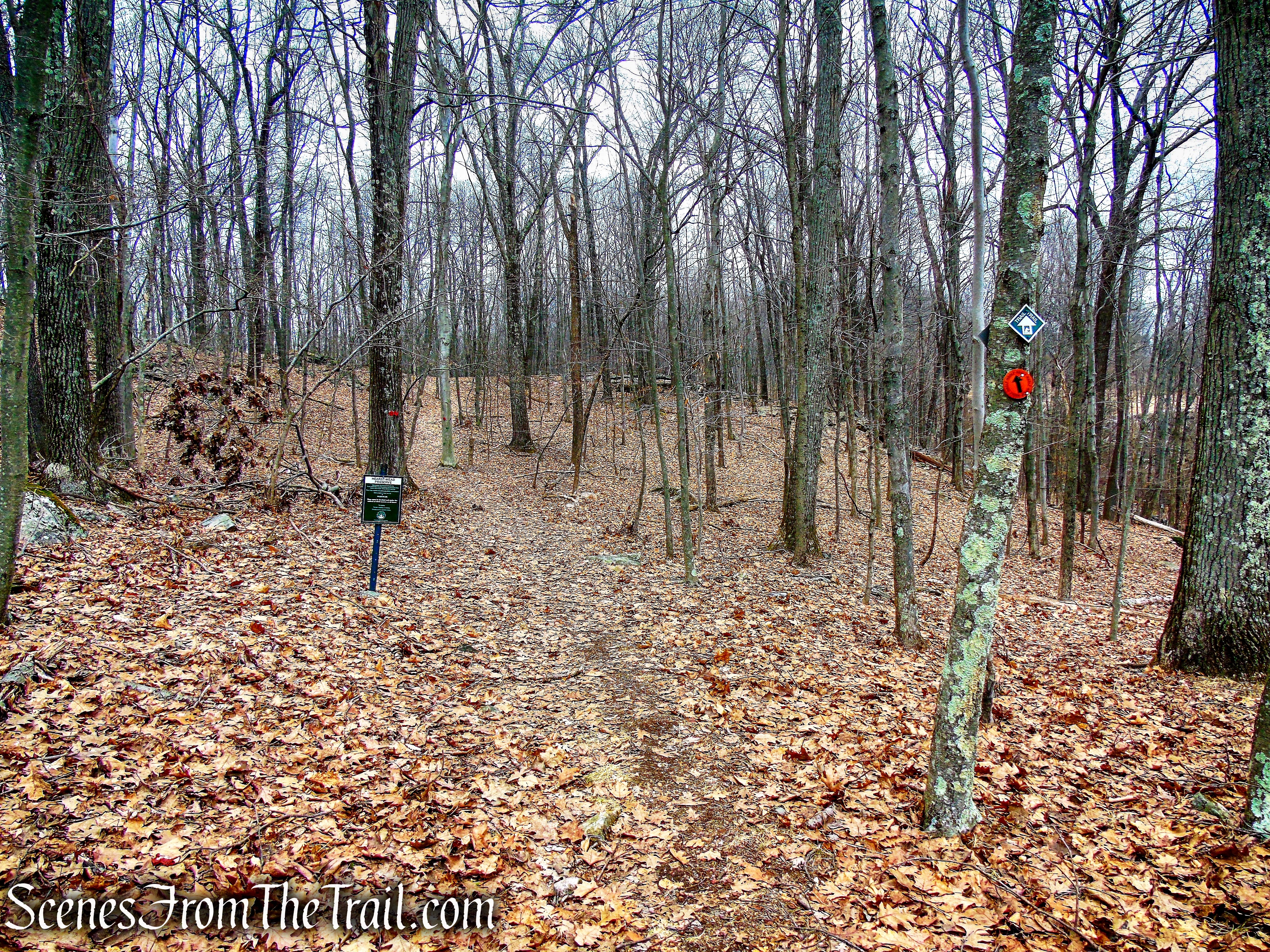 Red Trail - Hearst-Mead Preserve
