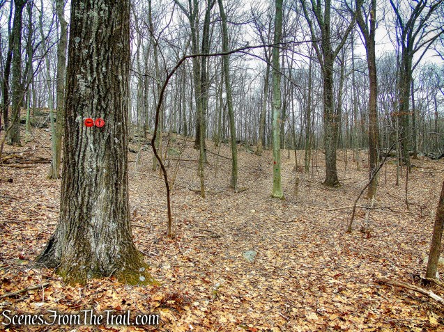 Red Trail - Hearst-Mead Preserve