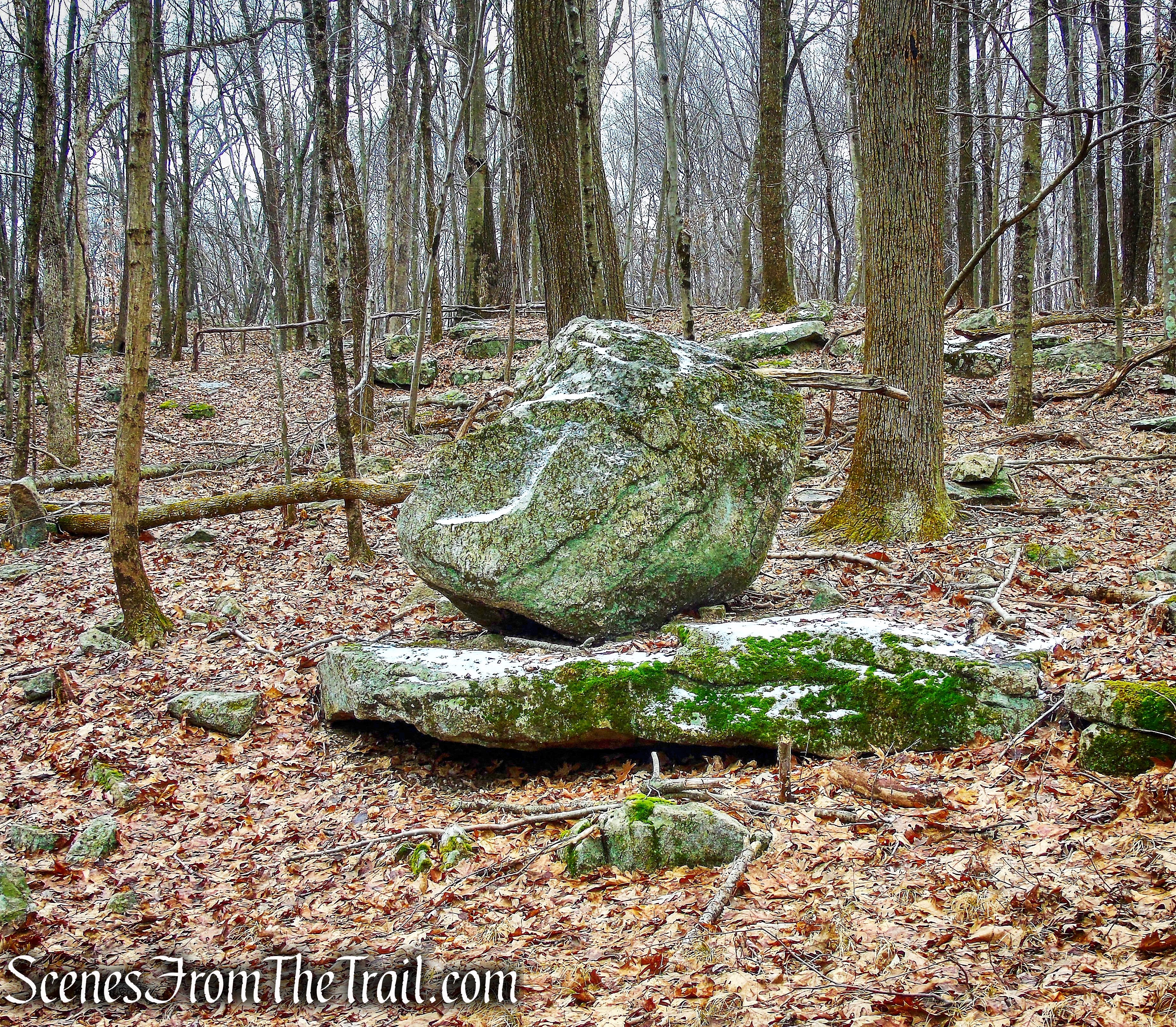 Red Trail - Hearst-Mead Preserve