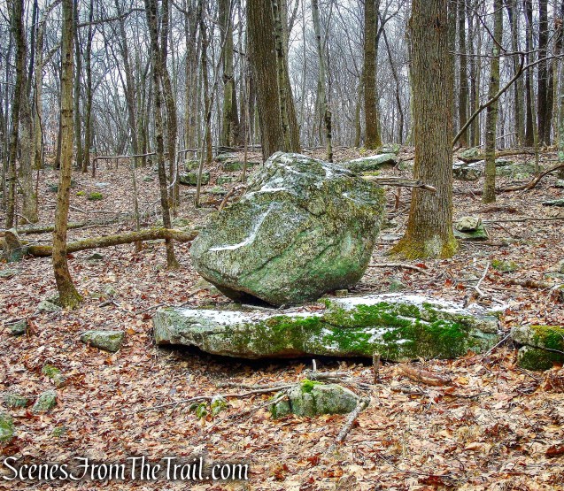 Red Trail - Hearst-Mead Preserve