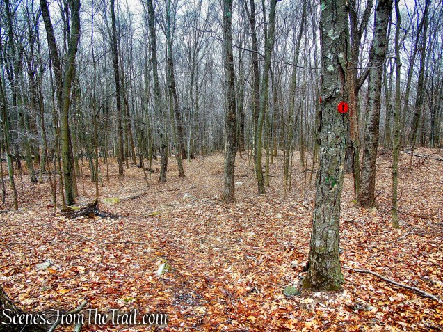 Red Trail - Hearst-Mead Preserve
