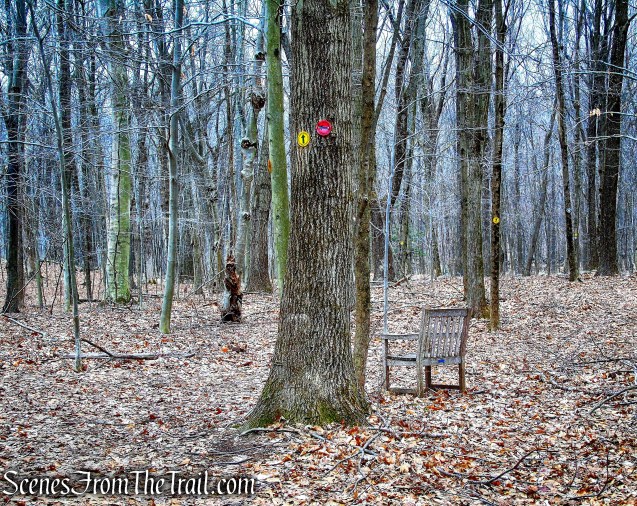 turn right on Yellow Trail - Hearst-Mead Preserve