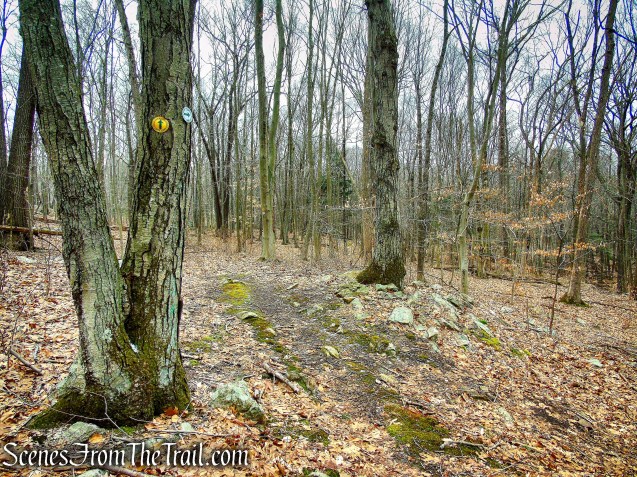 turn right on White Trail - Halmi Preserve