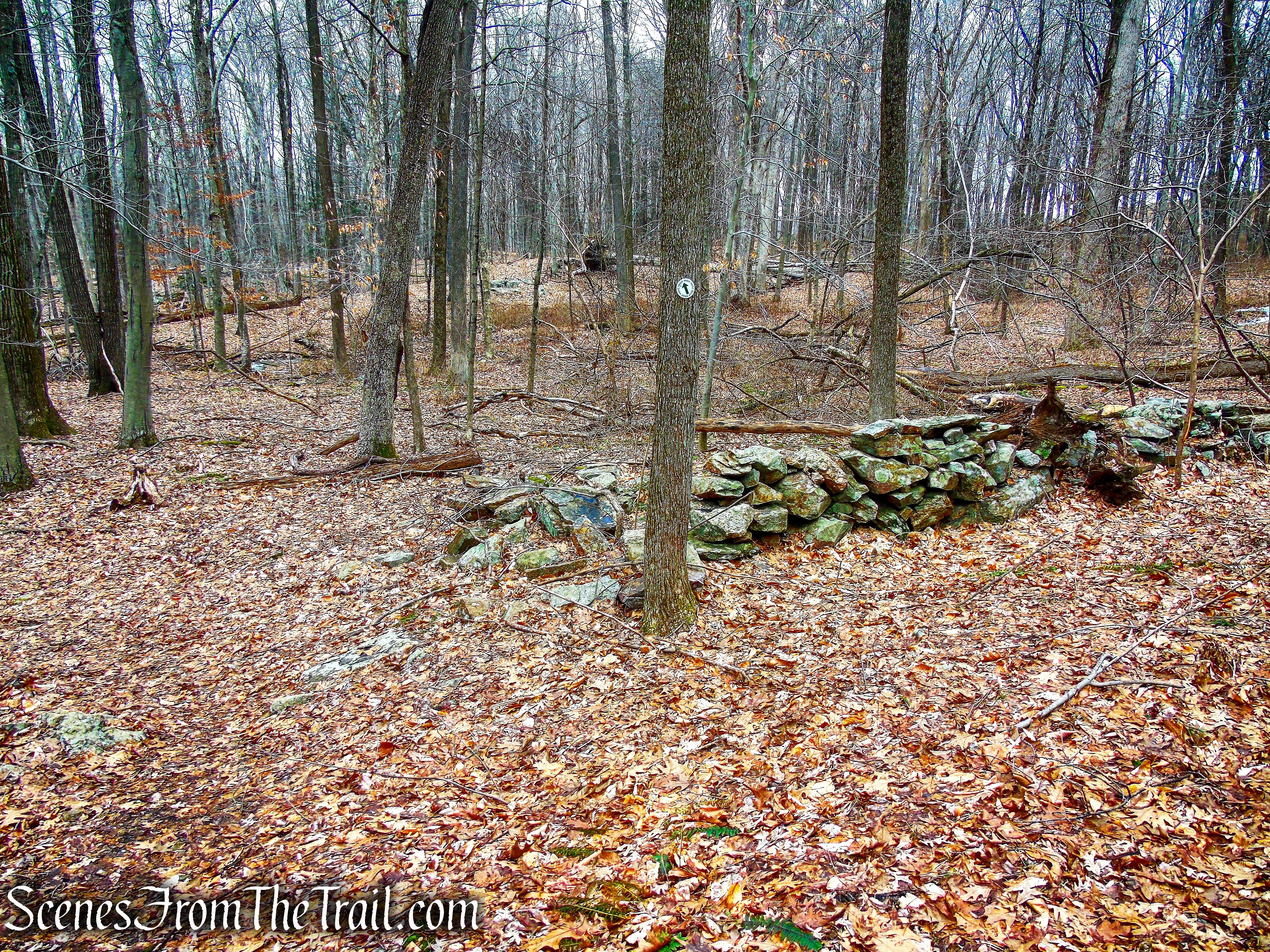 White Trail - Halmi Preserve