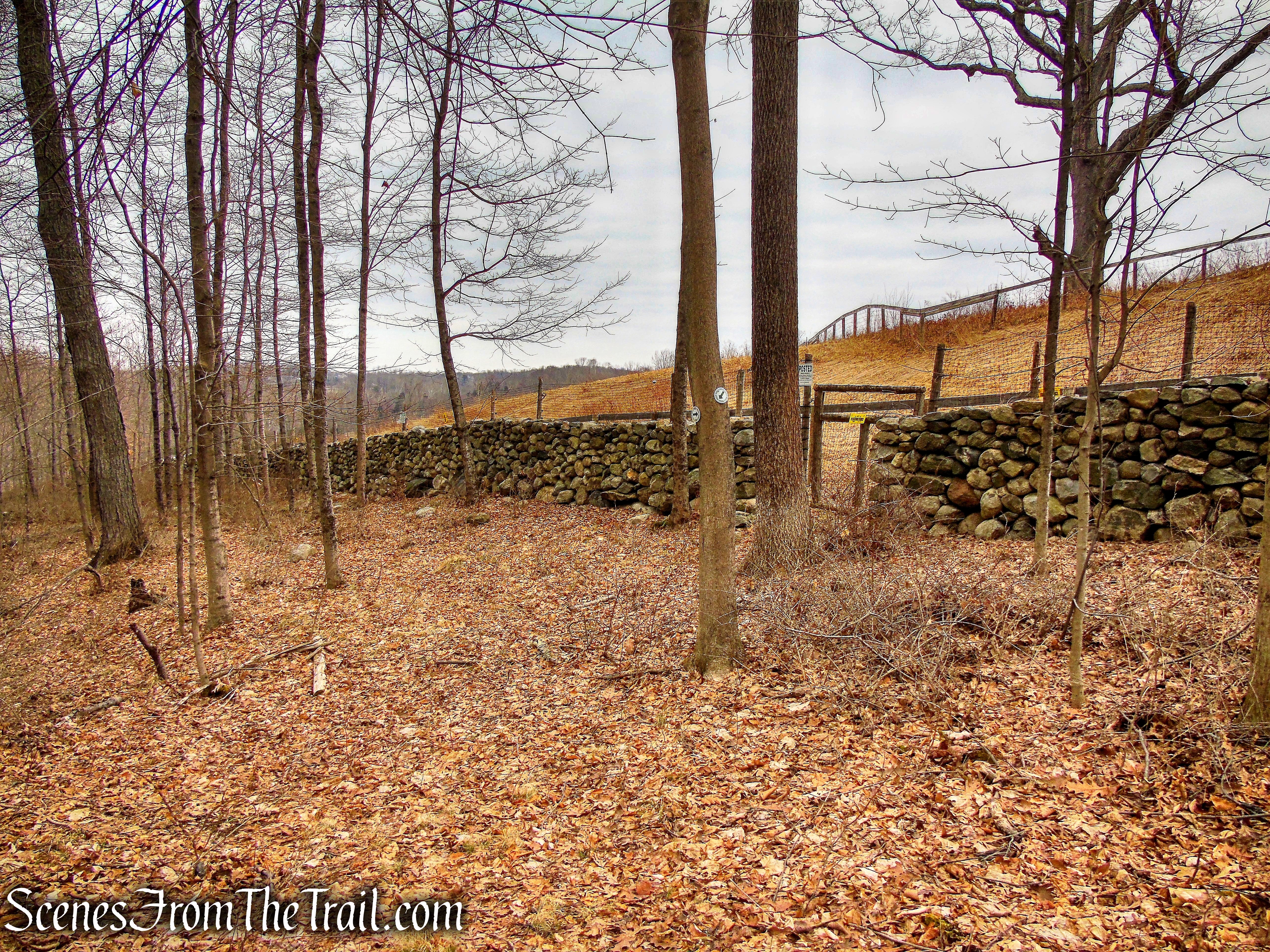 White Trail - Halmi Preserve