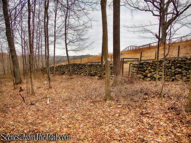 White Trail - Halmi Preserve