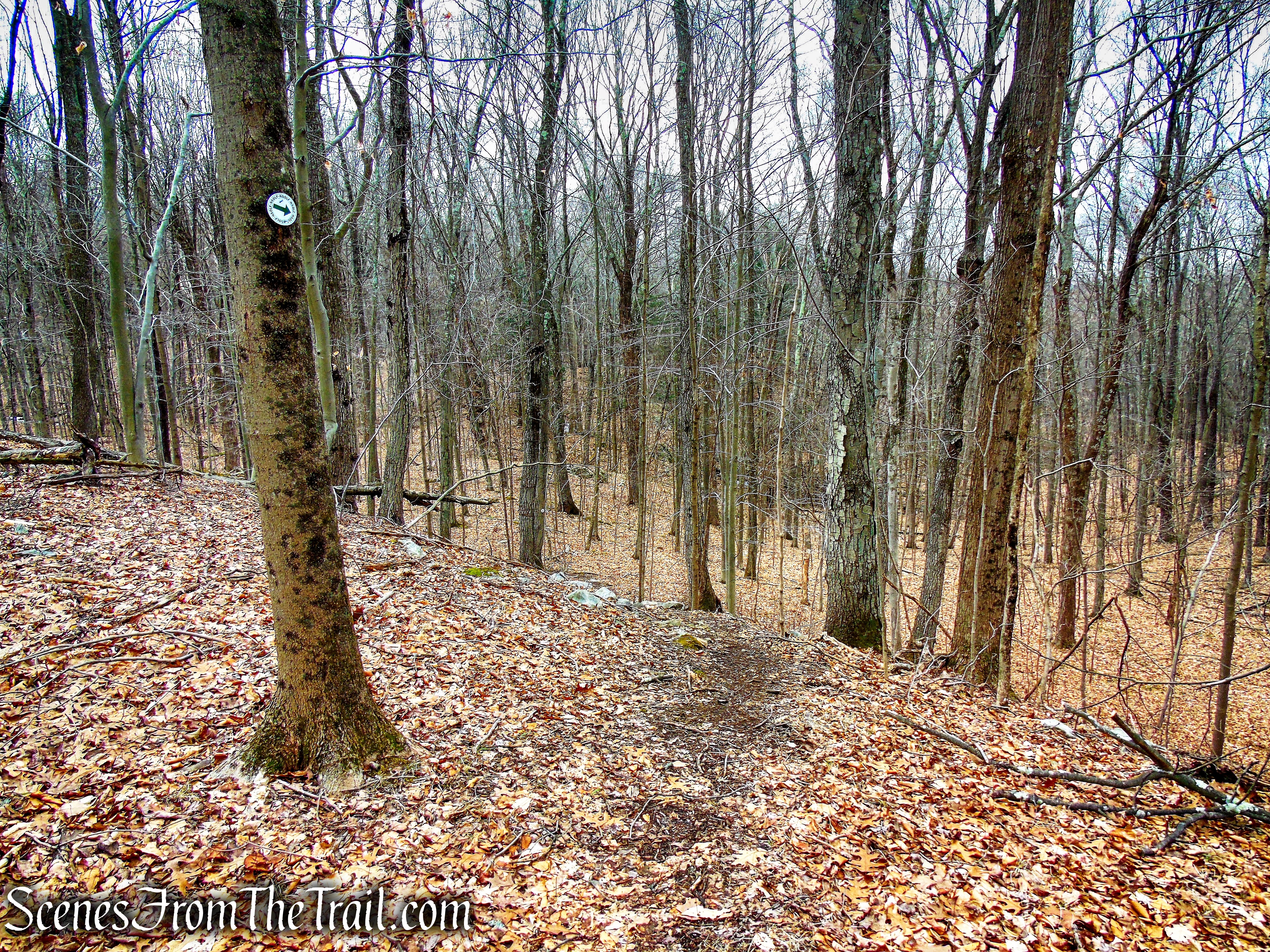 White Trail - Halmi Preserve
