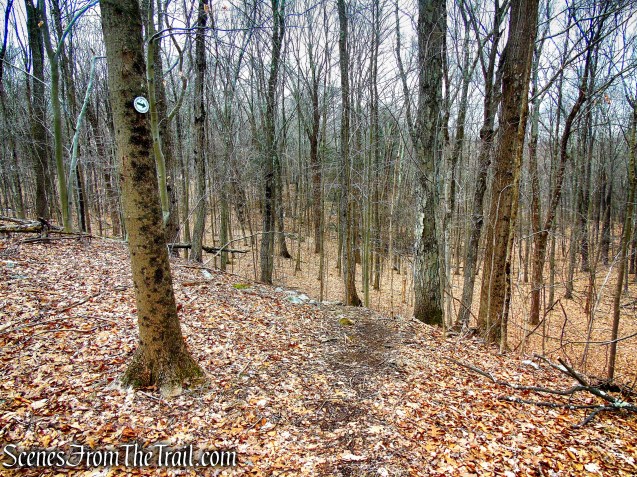 White Trail - Halmi Preserve