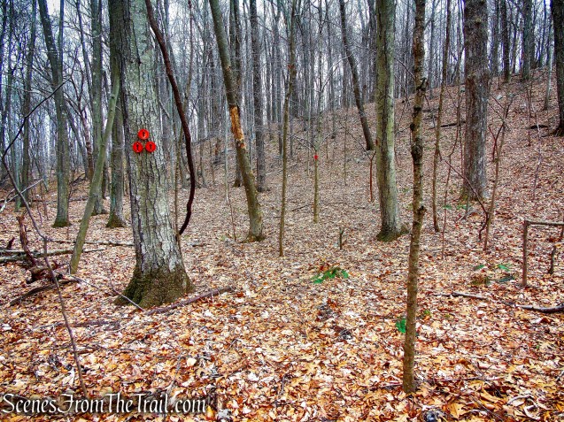 Orange Trail - O'Donohue Preserve