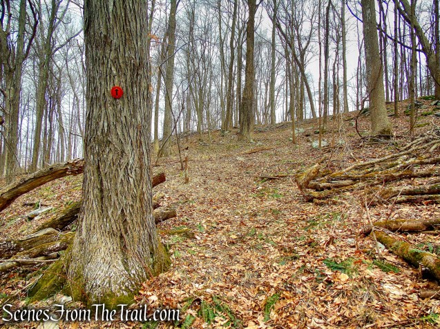 Orange Trail - O'Donohue Preserve
