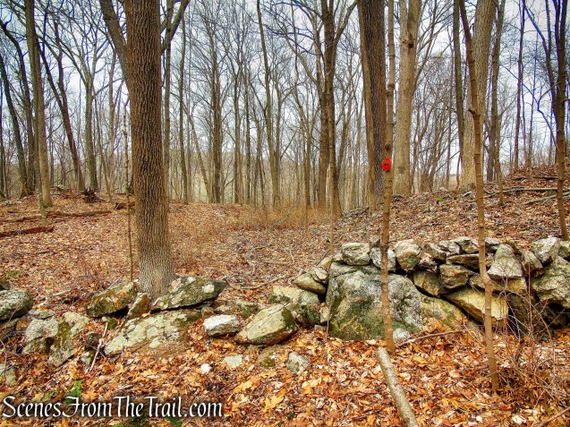 Orange Trail - O'Donohue Preserve