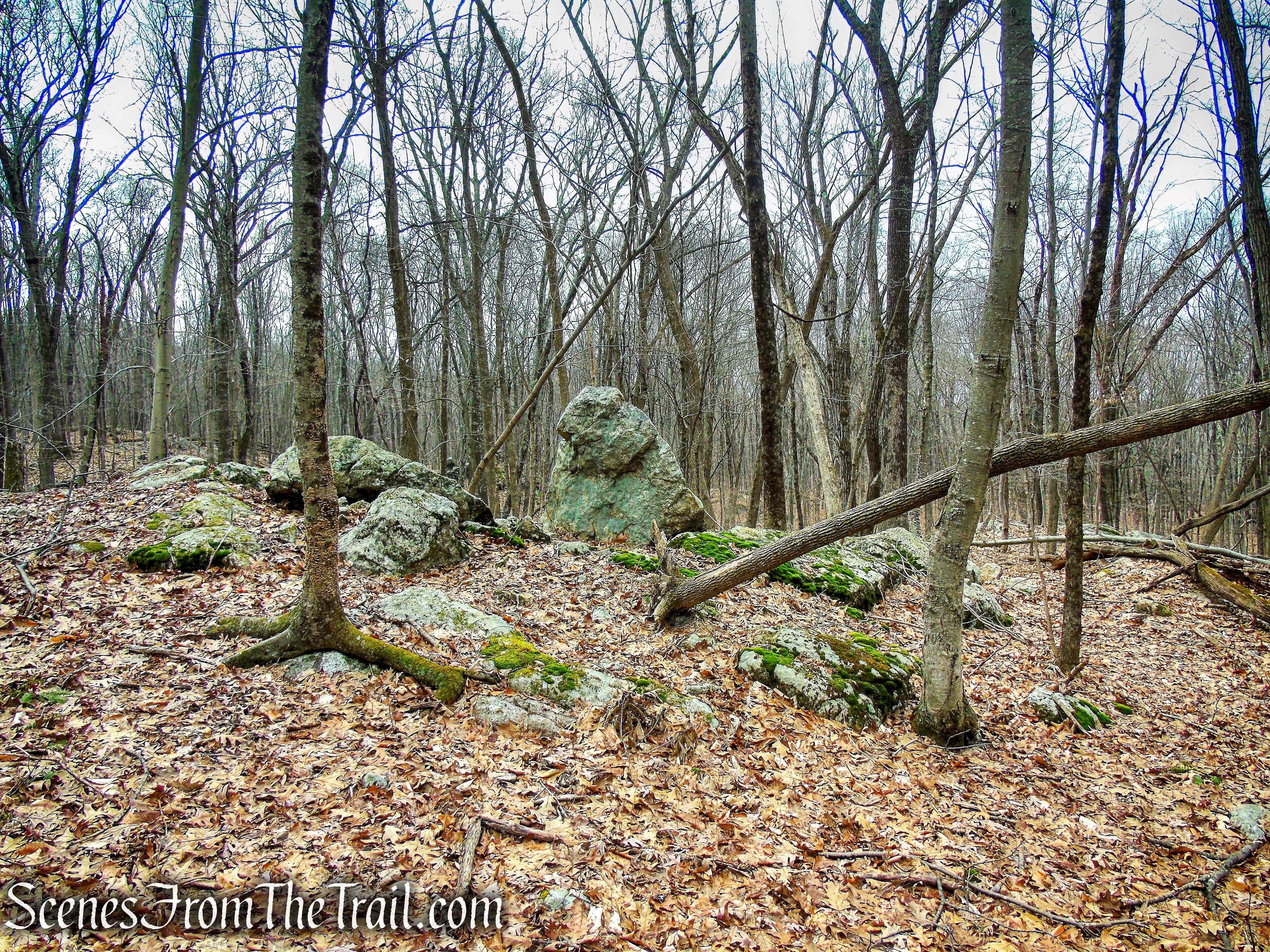 Orange Trail - O'Donohue Preserve