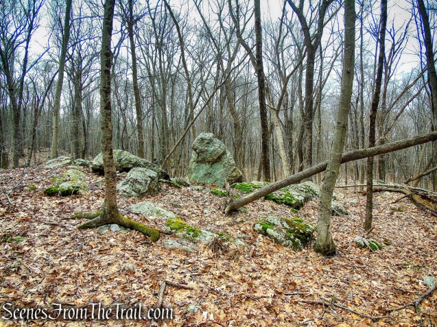Orange Trail - O'Donohue Preserve