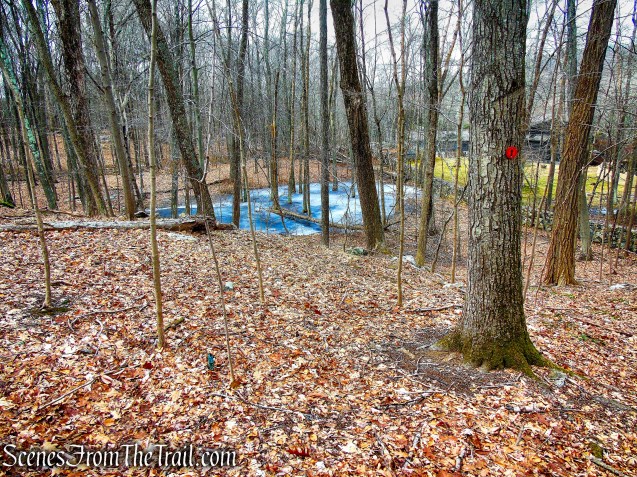 Orange Trail - O'Donohue Preserve