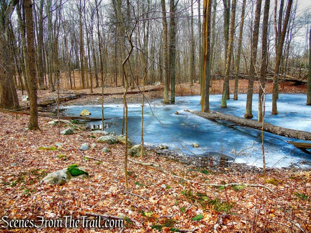 Orange Trail - O'Donohue Preserve
