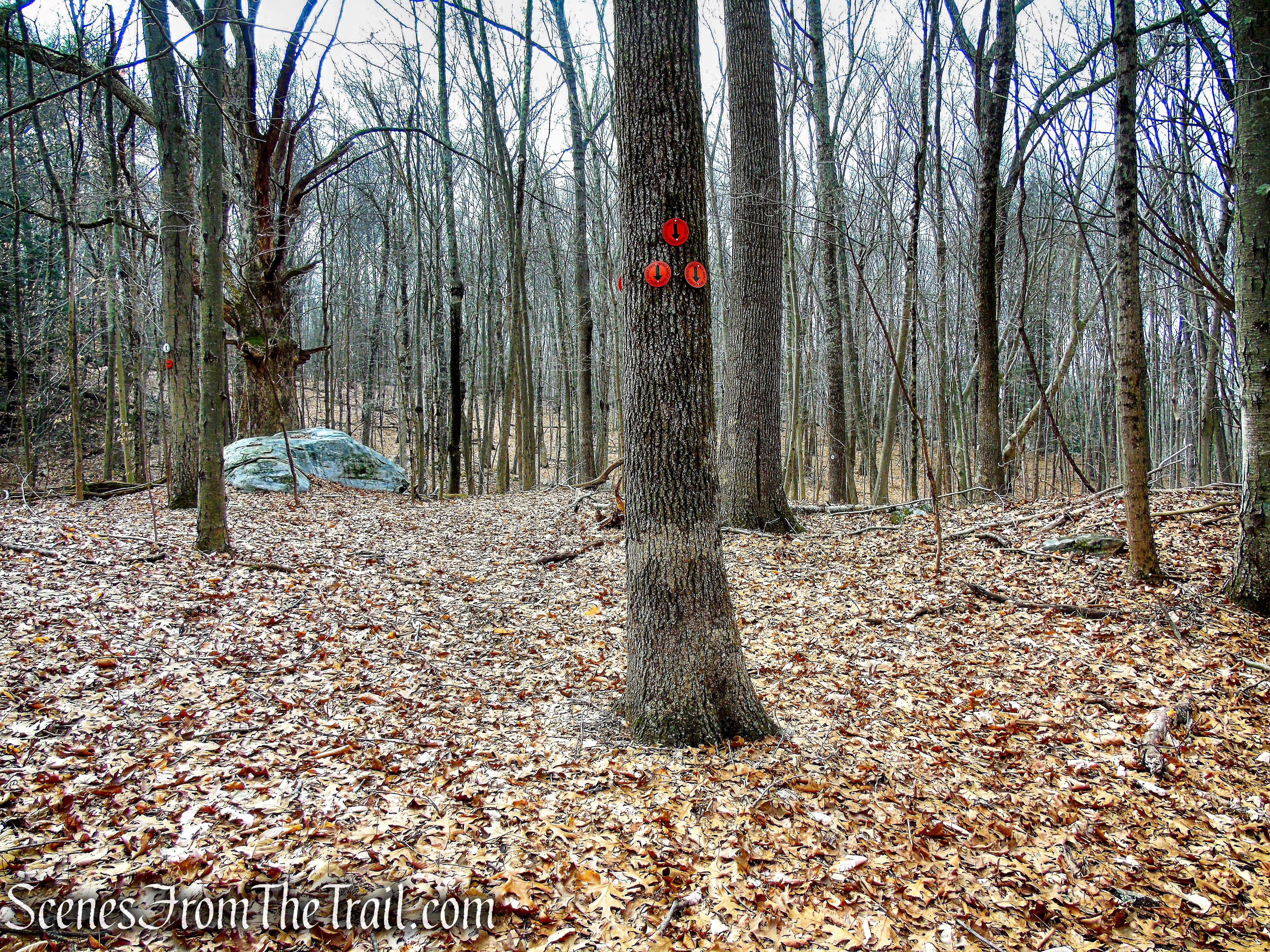 terminus of Orange Trail - O'Donohue Preserve