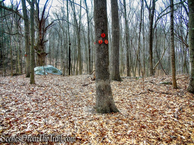terminus of Orange Trail - O'Donohue Preserve
