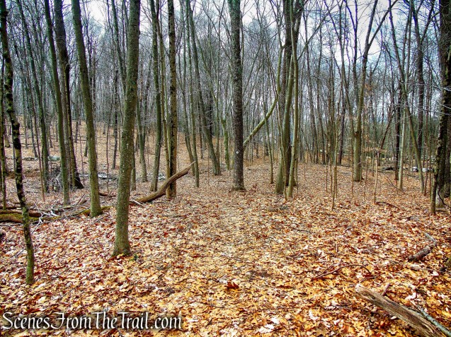 White Trail - Halmi Preserve