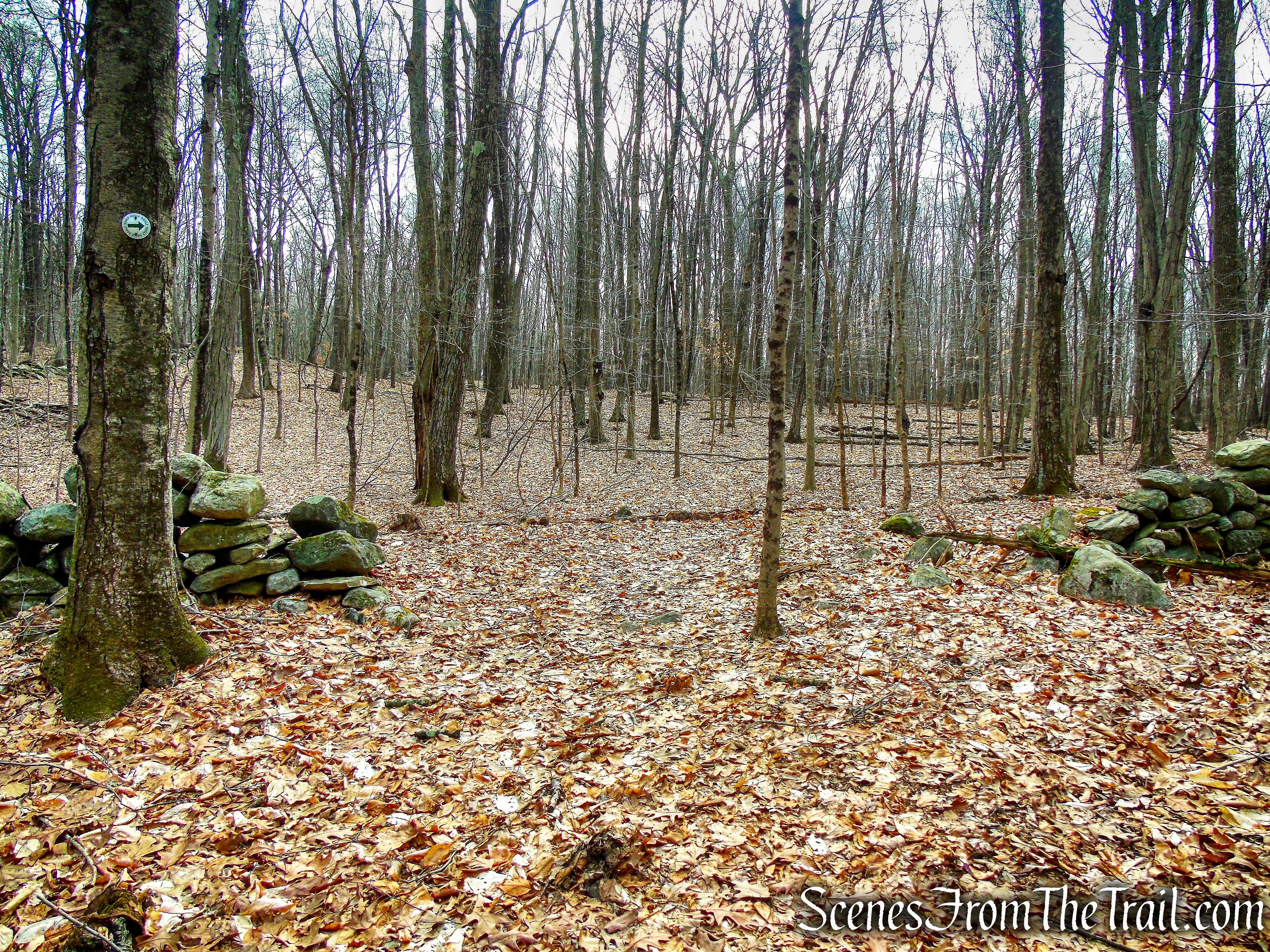 White Trail - Halmi Preserve