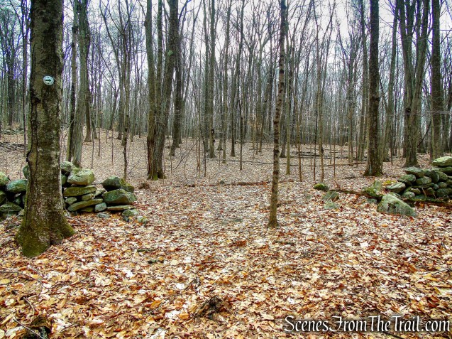 White Trail - Halmi Preserve