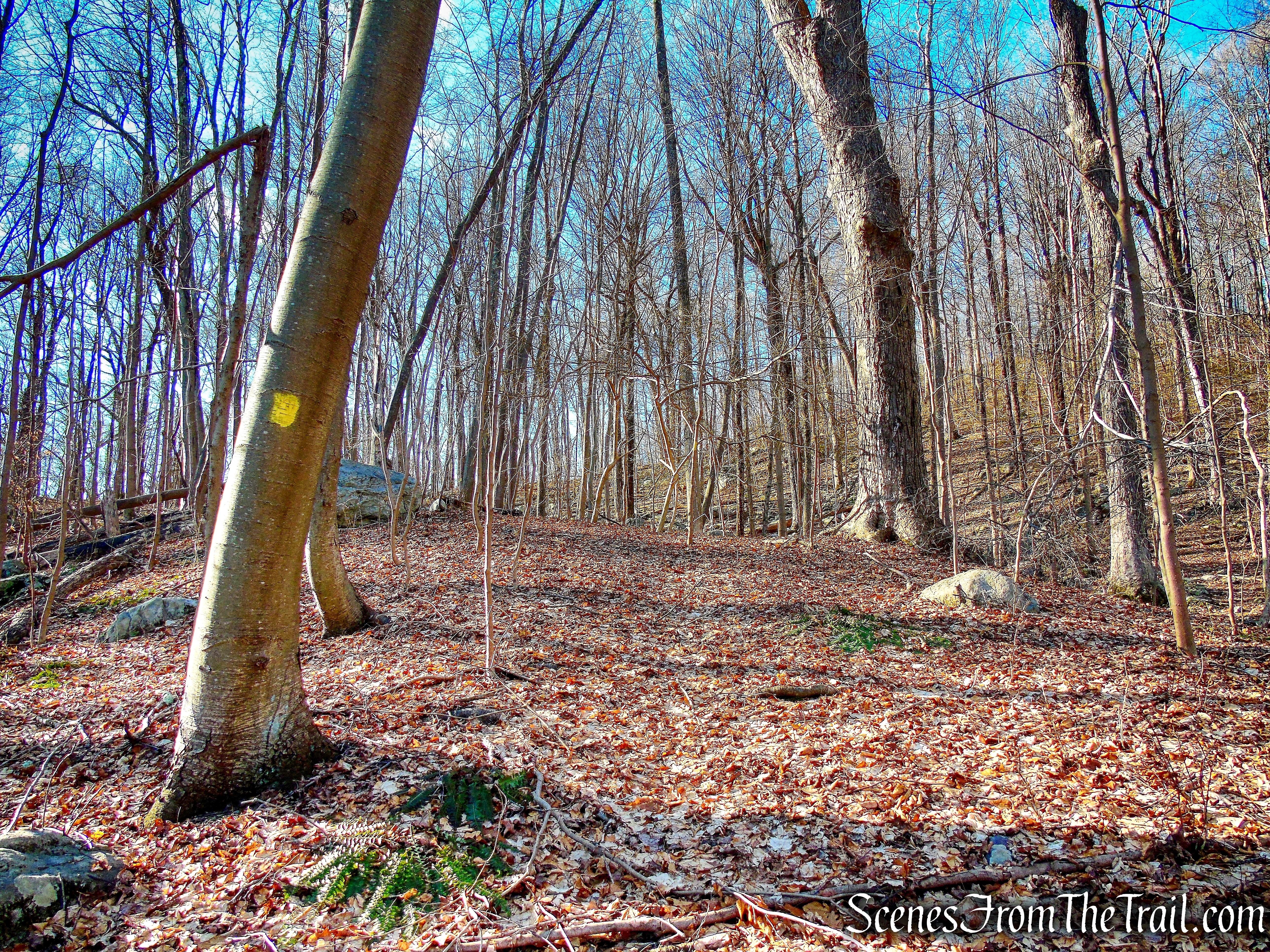 Whritenour Mine Trail