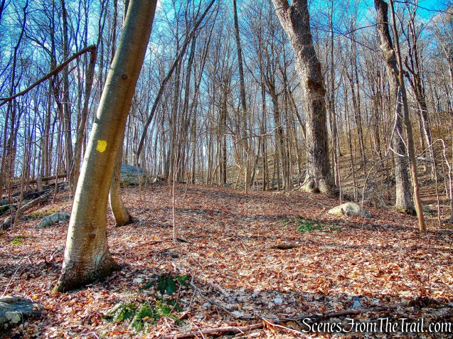 Whritenour Mine Trail