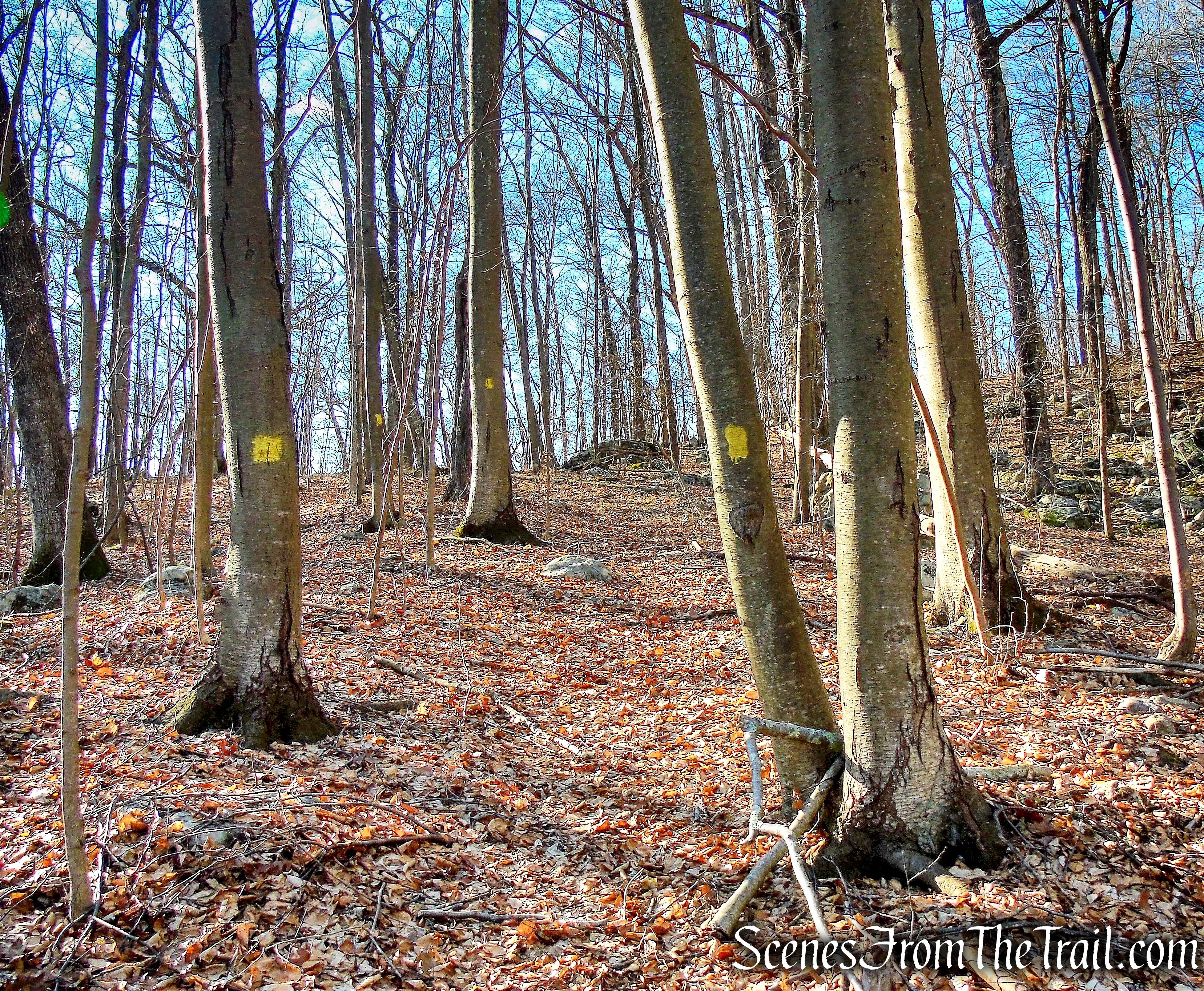 Whritenour Mine Trail