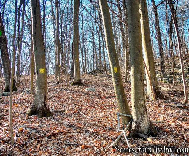 Whritenour Mine Trail