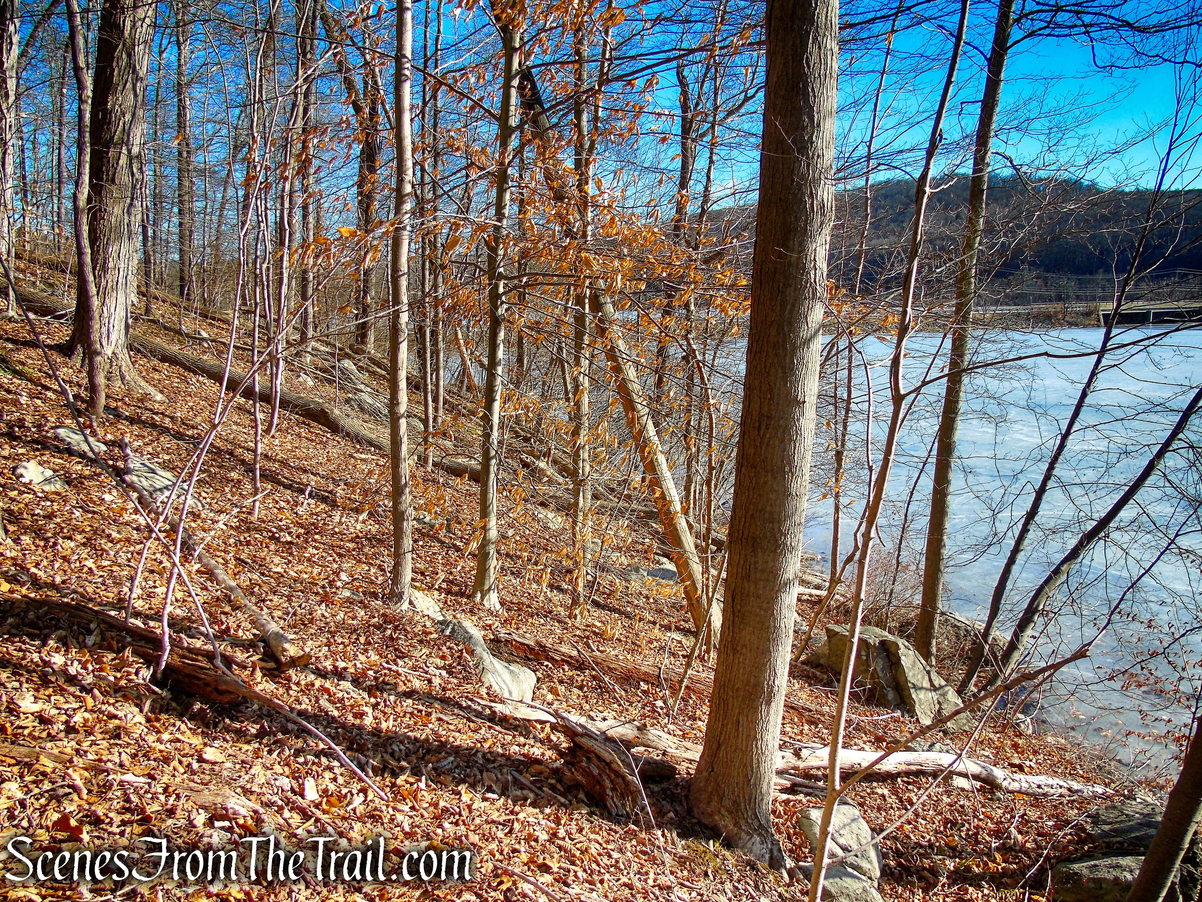 Whritenour Mine Trail