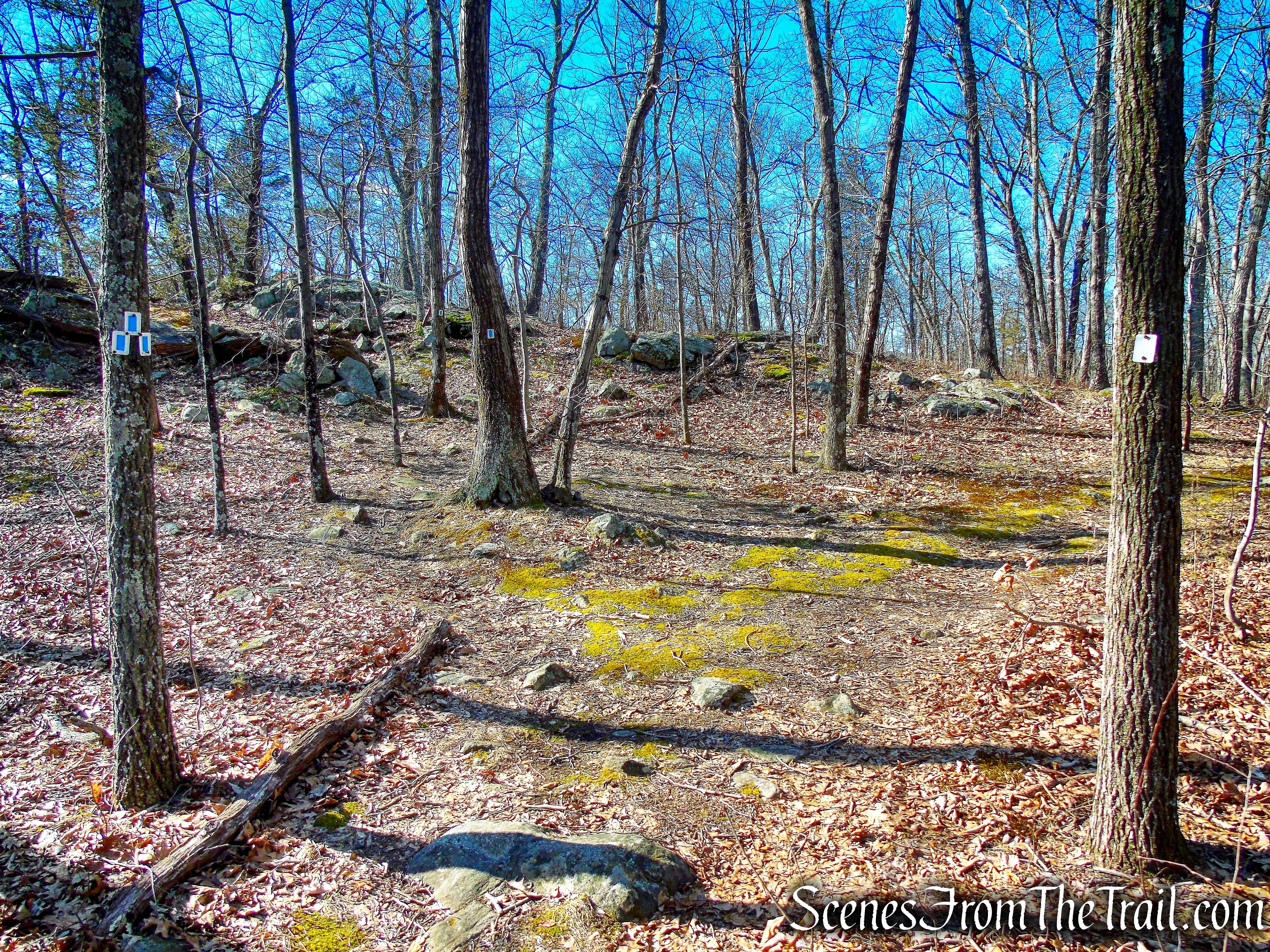turn left on blue-on-white-blazed trail