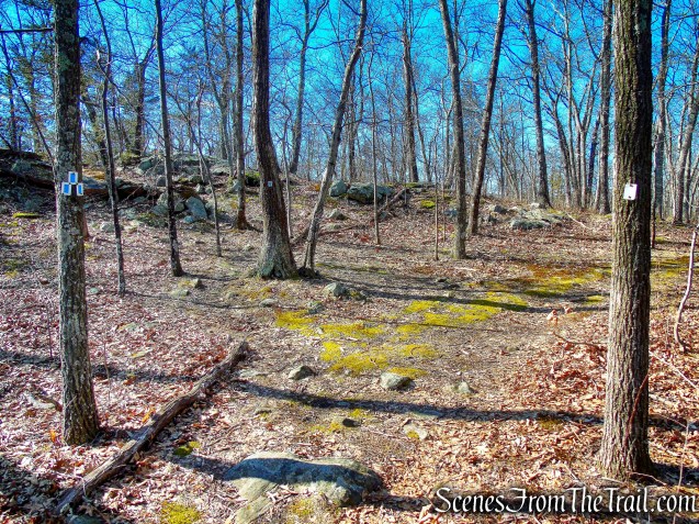 turn left on blue-on-white-blazed trail