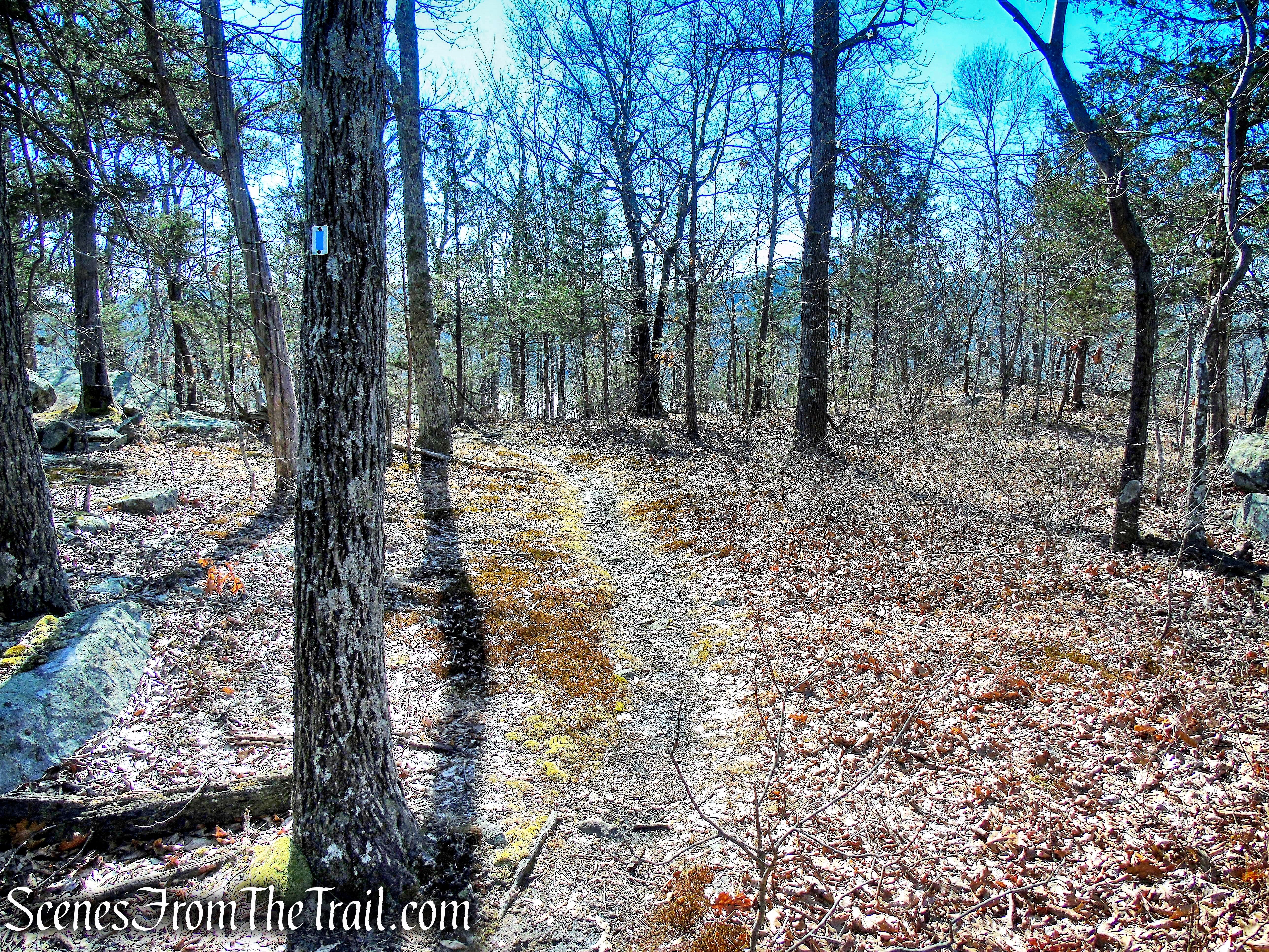blue-on-white-blazed trail