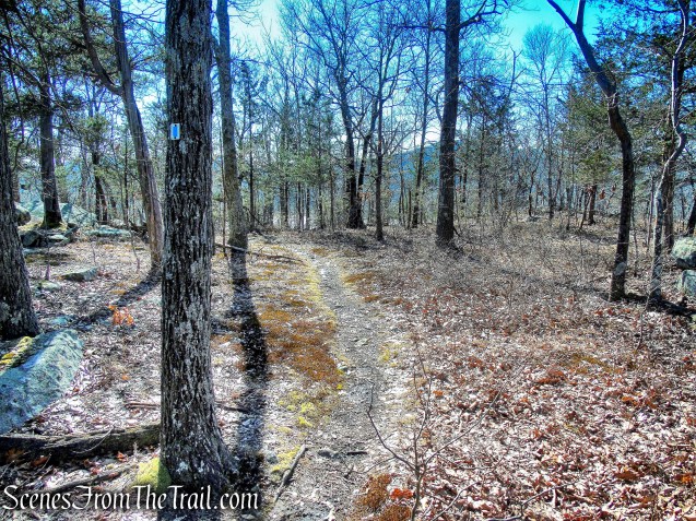 blue-on-white-blazed trail