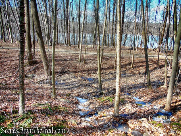 bushwack to woods road