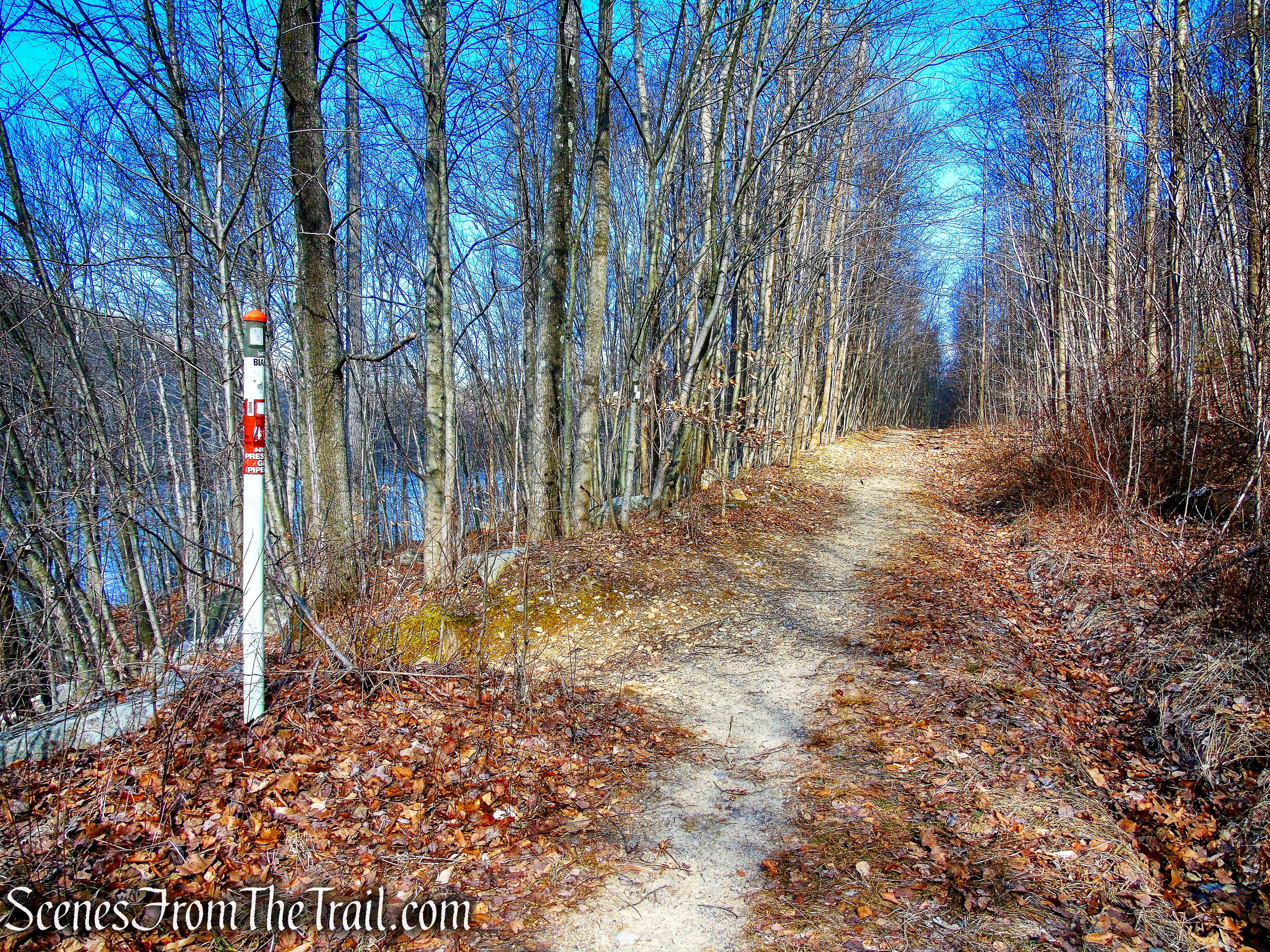 woods road crosses a gas pipeline