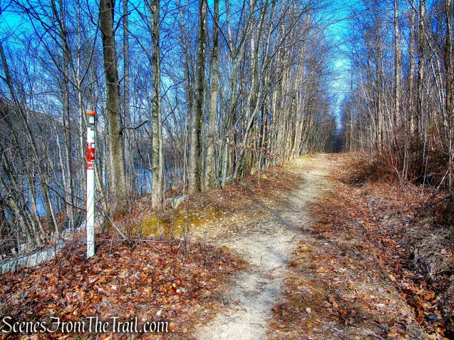 woods road crosses a gas pipeline