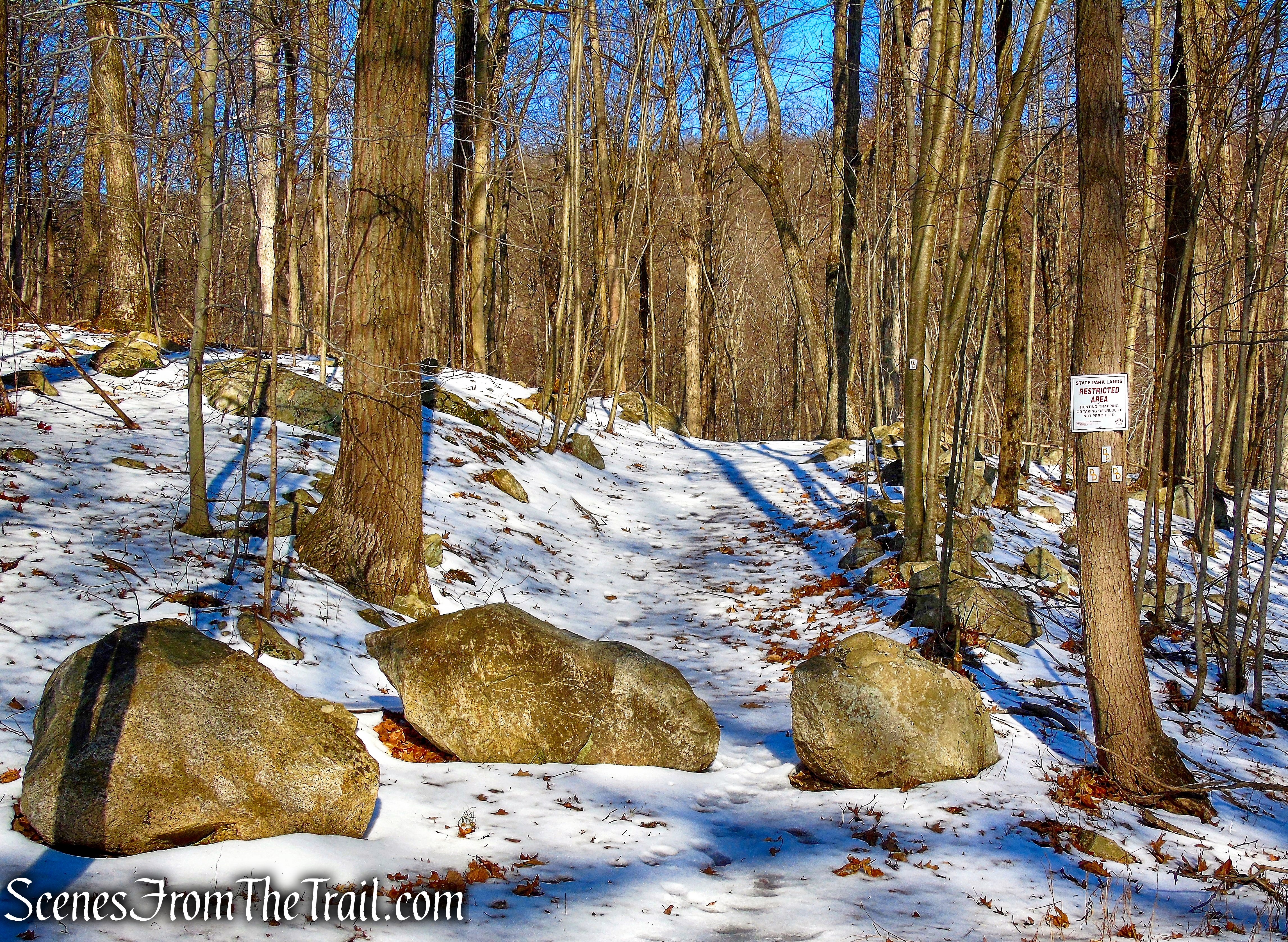 enter the woods at a triple blaze for the Doris Duke Trail
