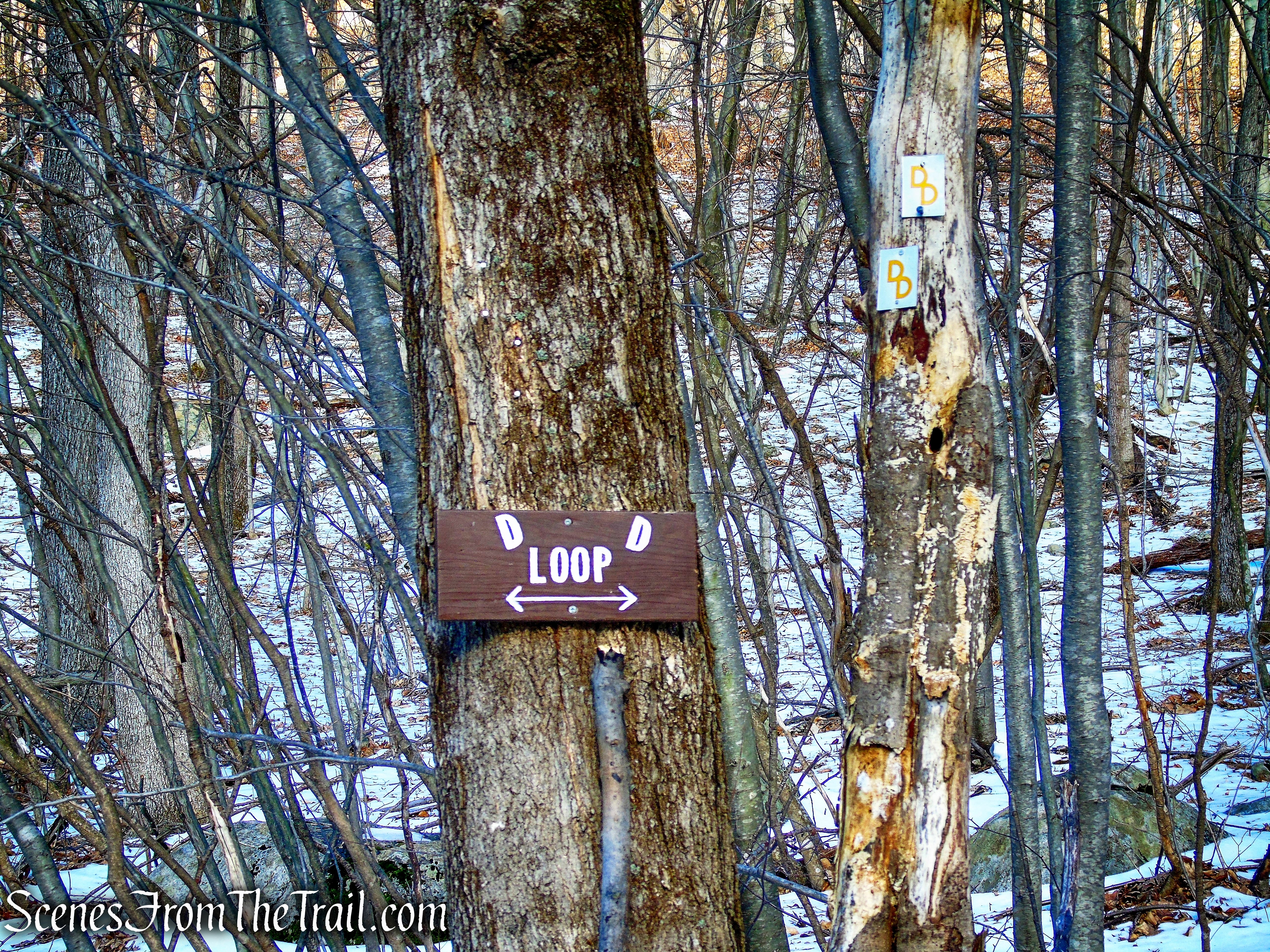 Turn right, leaving the woods road - Doris Duke Trail