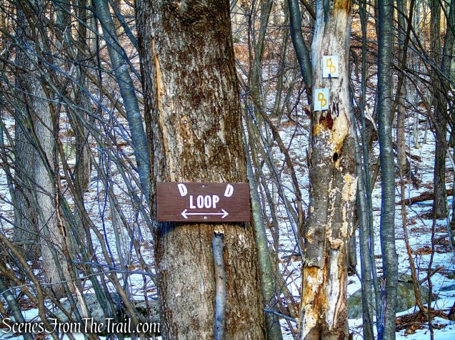 Turn right, leaving the woods road - Doris Duke Trail