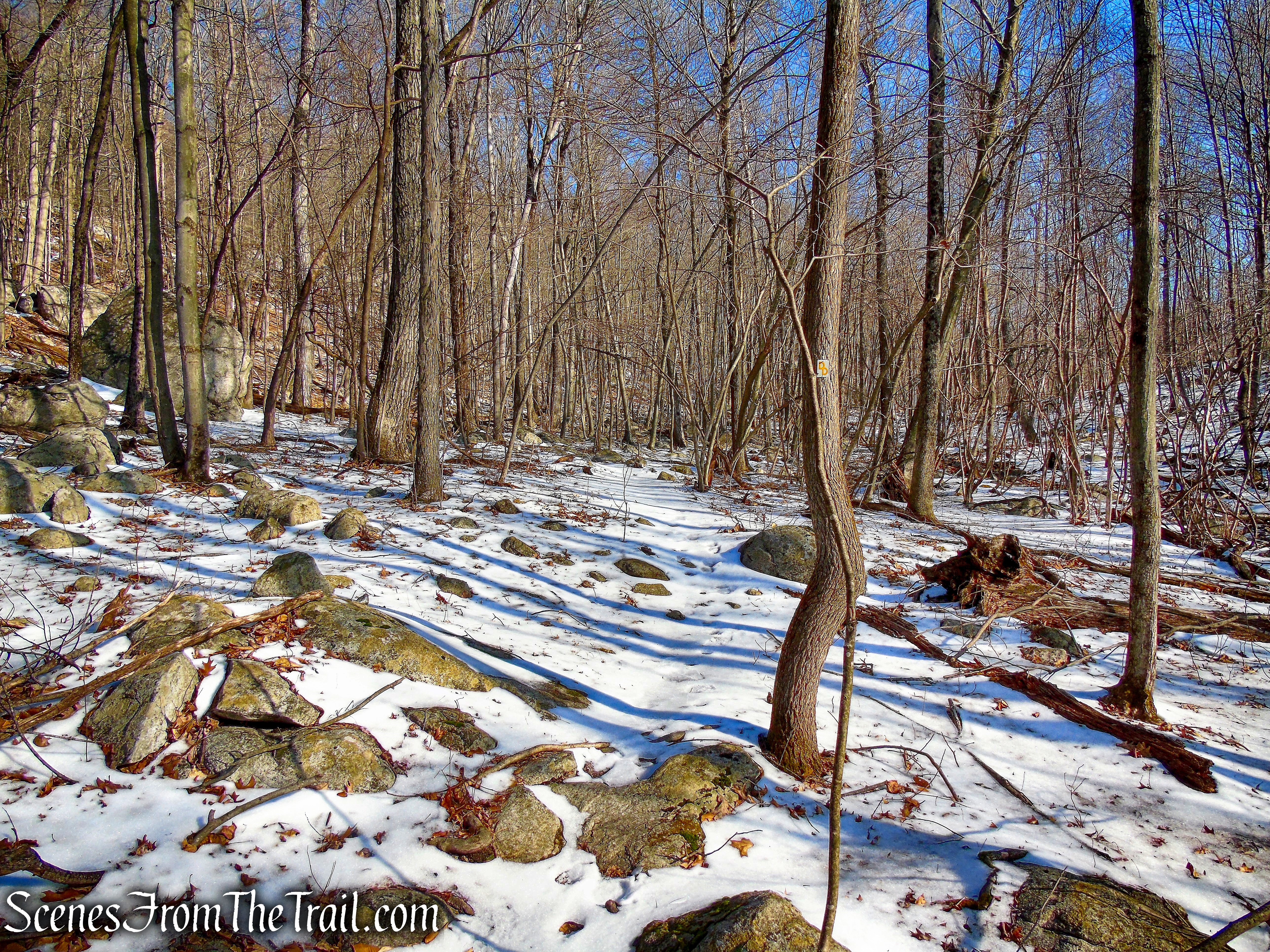 head into the woods on a footpath - Doris Duke Trail