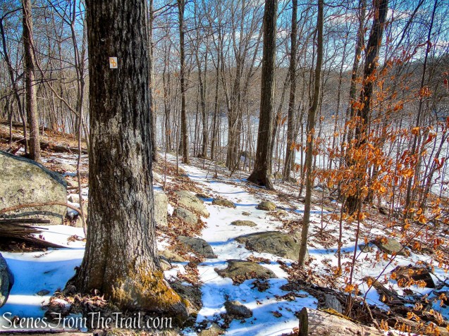 Doris Duke Trail descends towards a marsh
