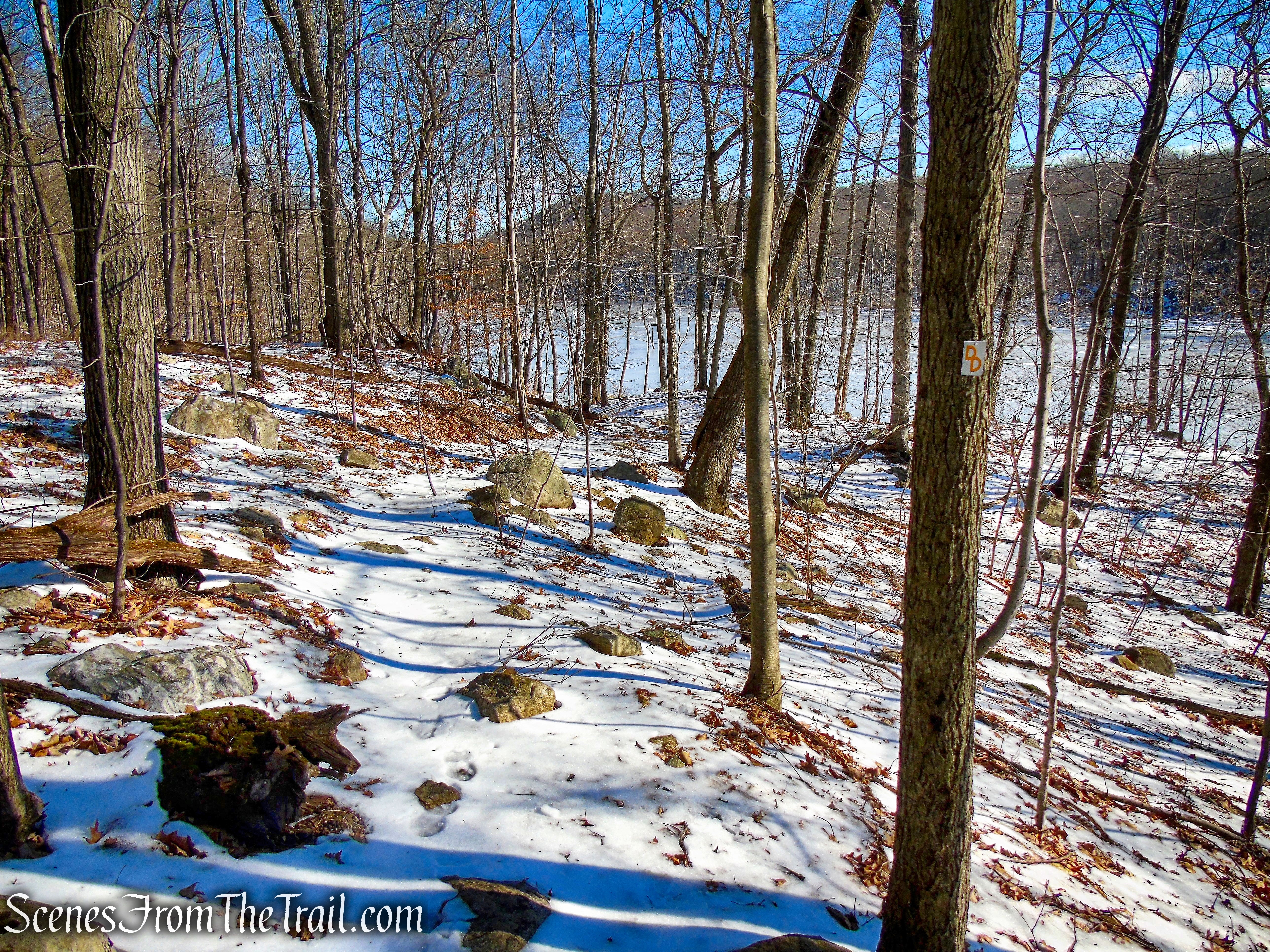 Doris Duke Trail descends towards a marsh
