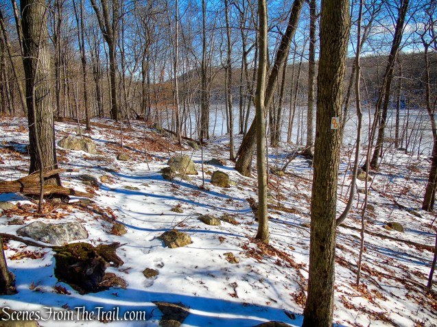 Doris Duke Trail descends towards a marsh
