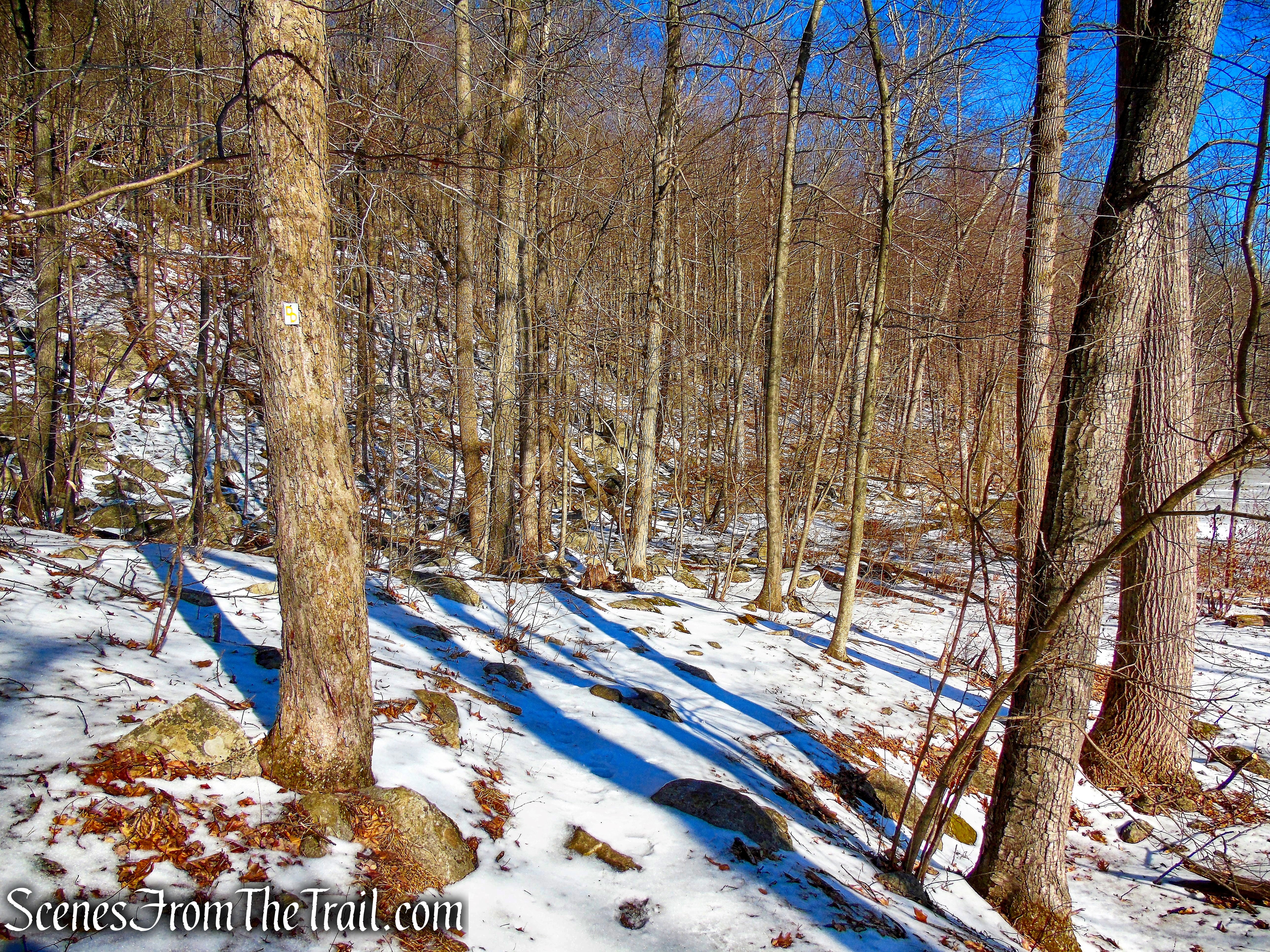 Doris Duke Trail continues along the base of the hill