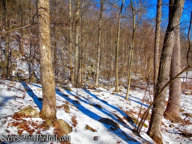 Doris Duke Trail continues along the base of the hill