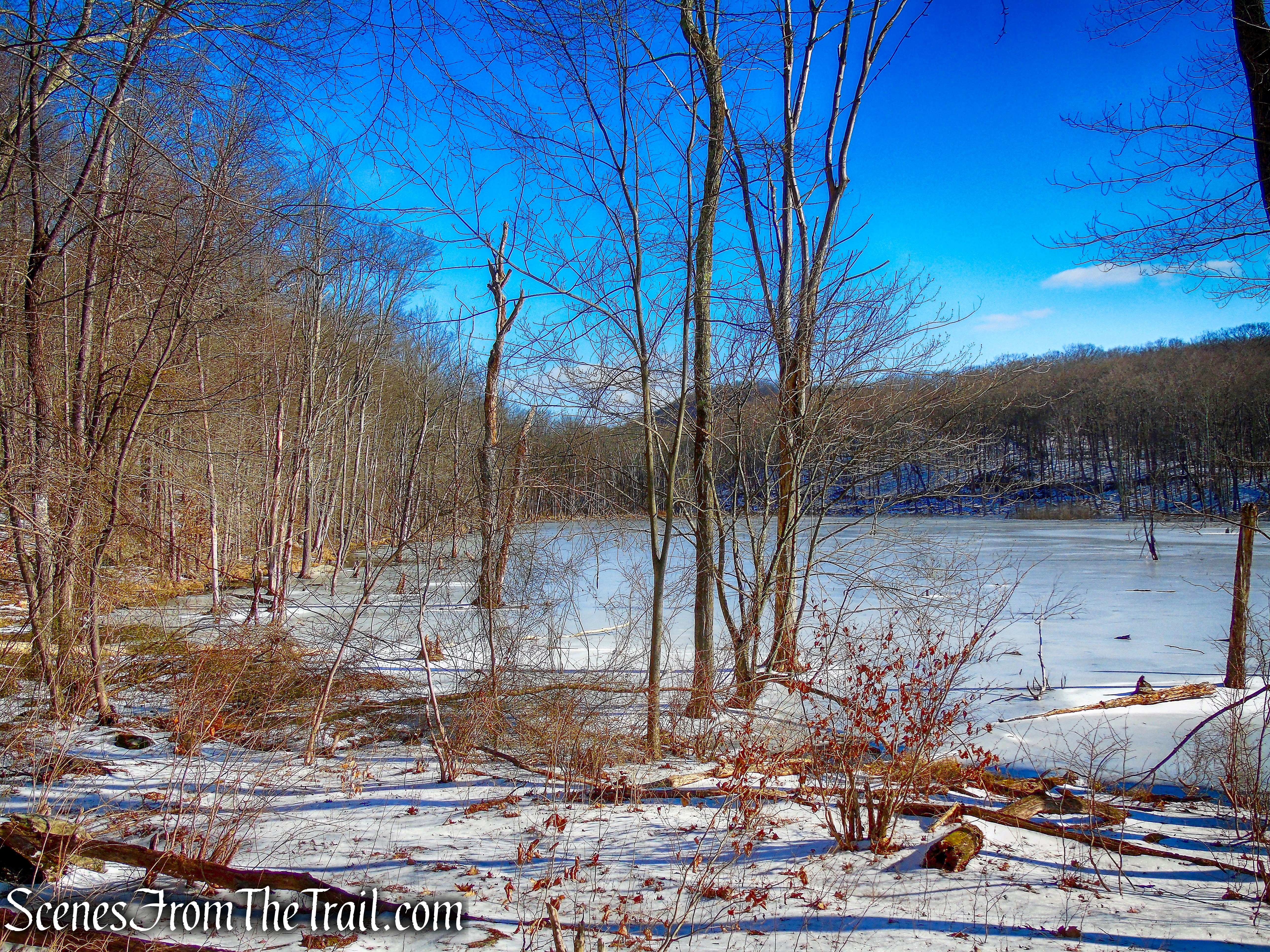 Doris Duke Trail parallel to the marsh