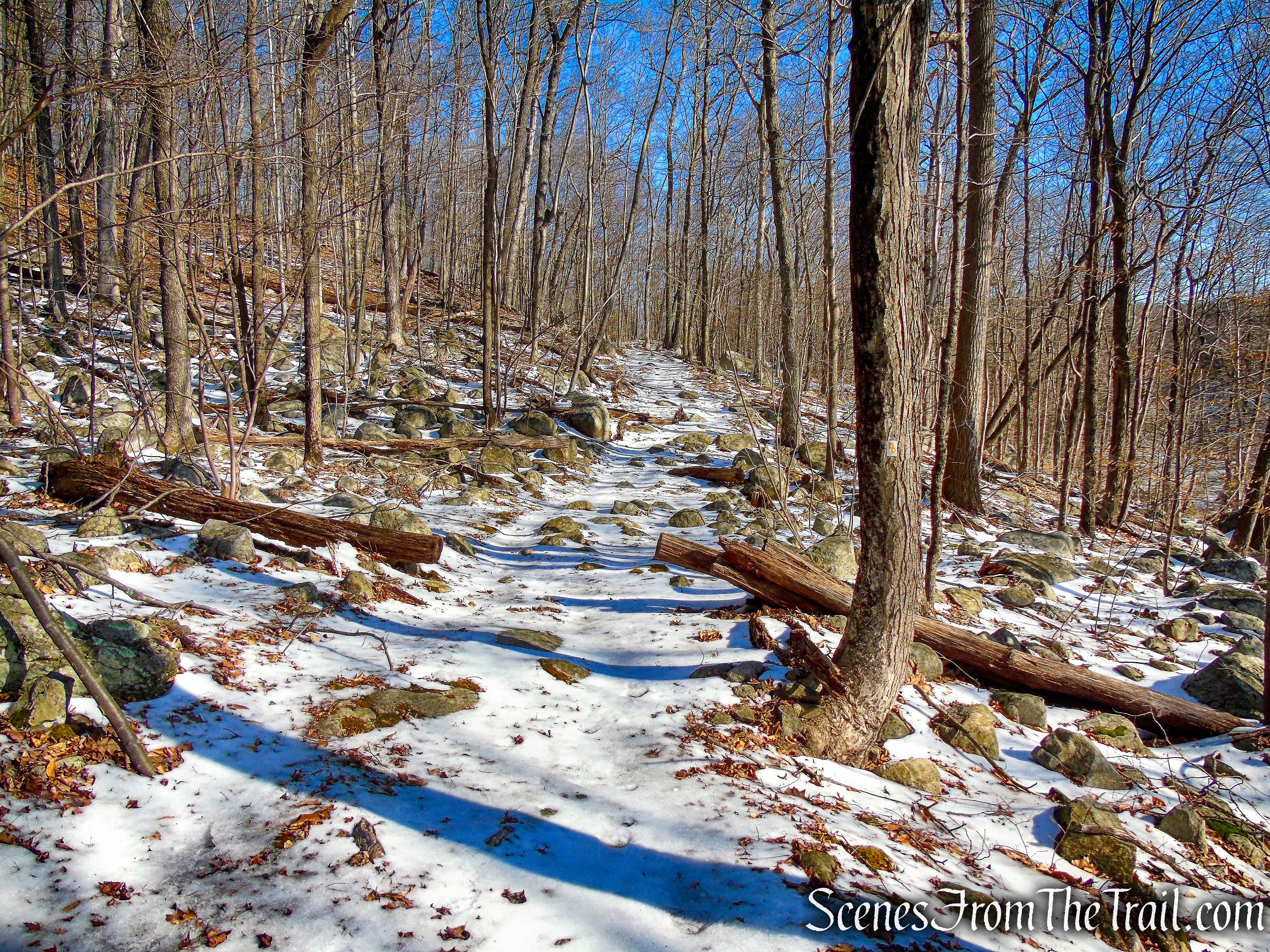 Doris Duke Trail joins an old woods road