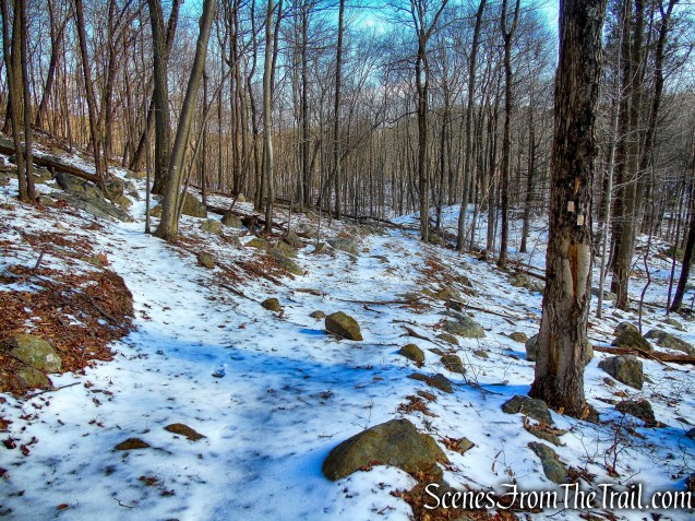 Doris Duke Trail bears left, leaving the road, and continues on a footpath